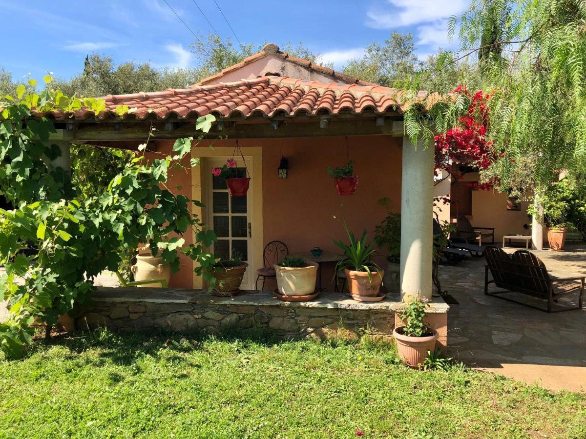 Domaine Le Clos Des Oliviers Sorbo-Ocagnano Kültér fotó
