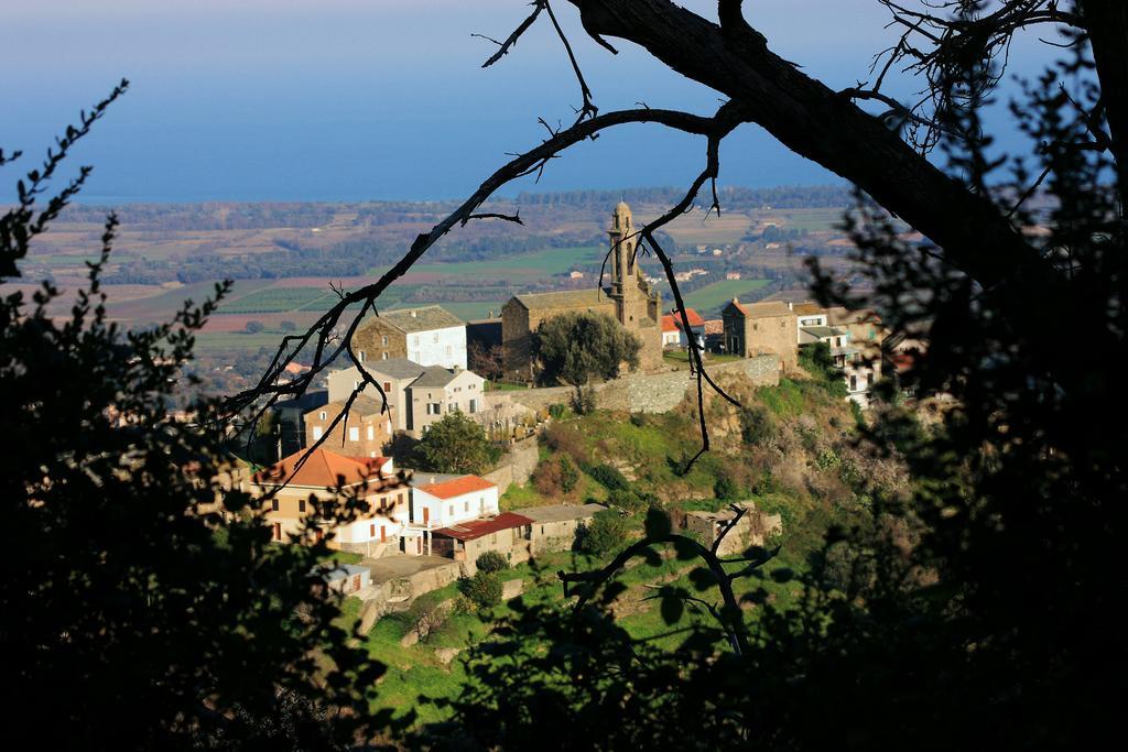 Domaine Le Clos Des Oliviers Sorbo-Ocagnano Kültér fotó