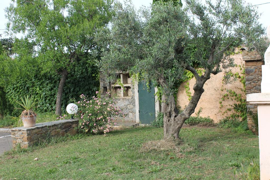 Domaine Le Clos Des Oliviers Sorbo-Ocagnano Kültér fotó